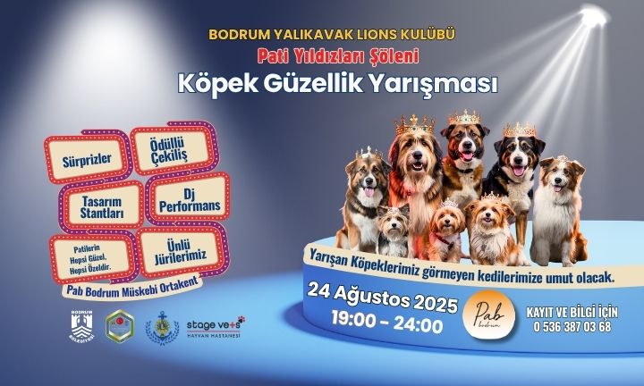 Pati Yıldızları Şöleni – Gören Patiler, Görmeyen Kedilere Umut Oldu