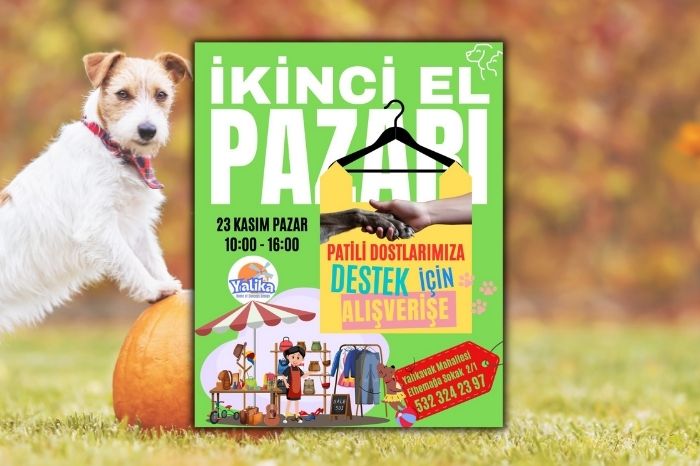 Patili Dostlarımıza Destek İçin Alışverişe! – Yalıkavak İkinci El Pazarı