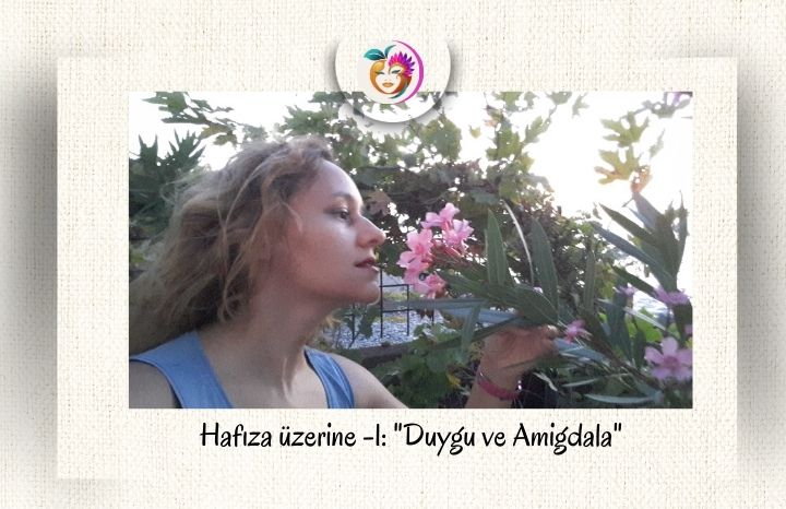 Hafıza üzerine -1: “Duygu ve Amigdala”