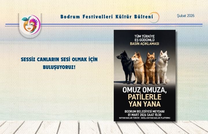 Sessiz Canlarin Sesi Olmak İçin Buluşuyoruz!