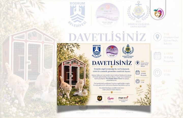 Bodrum’da Görme Engelli Kediler Yeni Yuvalarına Kavuşuyor: Özel Çocuklarla Anlamlı Buluşma